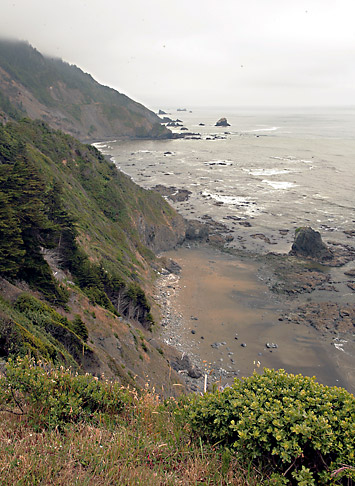 Redwood National Park 
Enderts Beach Road, Crescent Beach Overlook