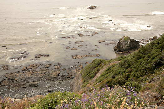 Redwood National Park 
Enderts Beach Road, Crescent Beach Overlook