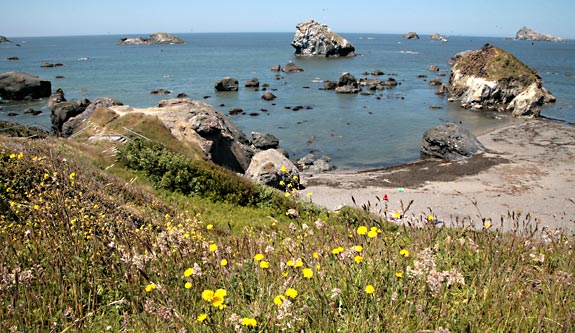 Redwood National Park 
Crescent City, Pebble Beach Dr.