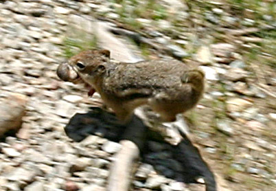 Rocky Mountain National Park