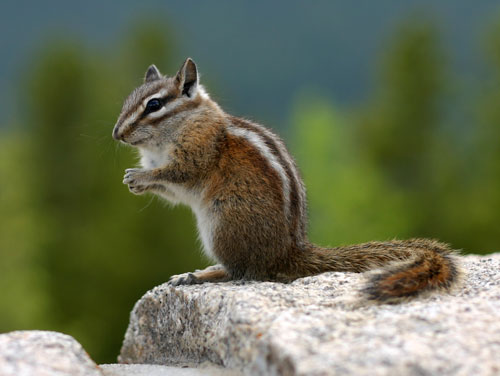 Rocky Mountain National Park