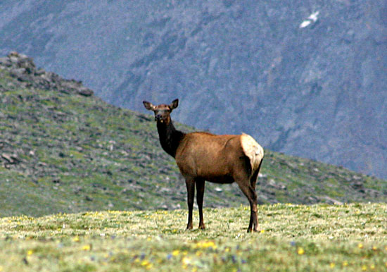 Rocky Mountain National Park