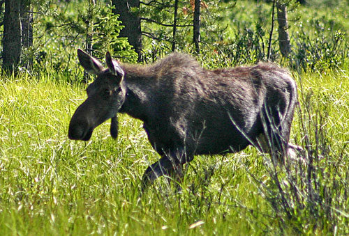 Rocky Mountain National Park