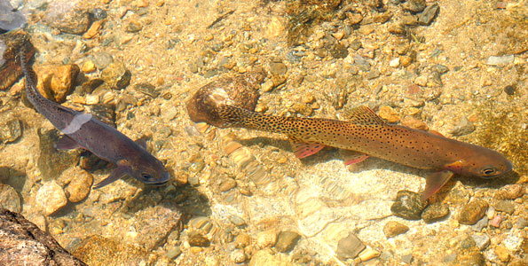 Rocky Mountain National Park