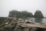 Olympic National Park
