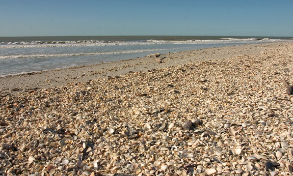 Sanibel Island