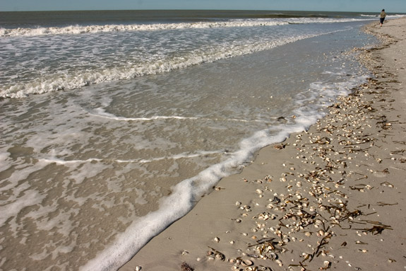 Sanibel Island