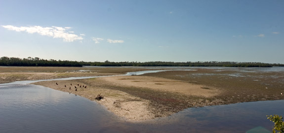 Ding Darling Wildlife Refuge