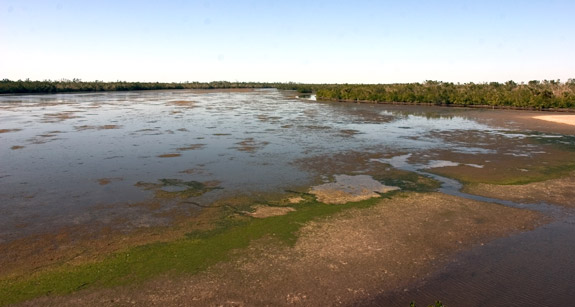 Ding Darling Wildlife Refuge