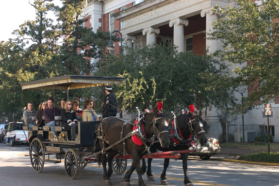 Savannah Carriage Tour