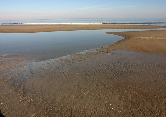 Tybee Island Beach