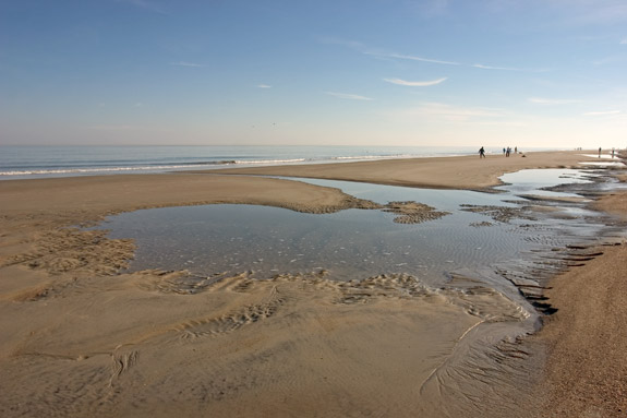 Tybee Island Beach