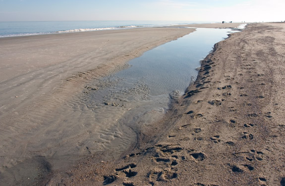 Tybee Island Beach