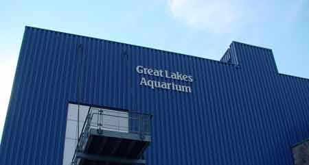 Duluth Great Lakes Aquarium