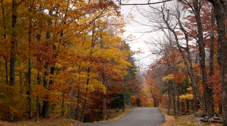 New Hampshire Mt Washington Foliage