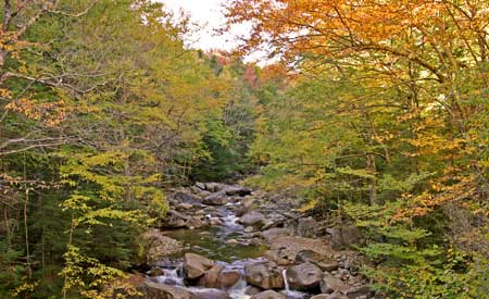 New Hampshire Flume Gorge