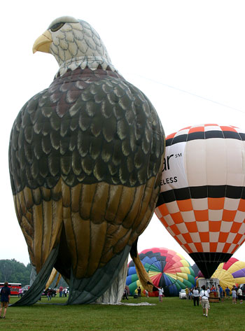 New Jersey Balloon Festival