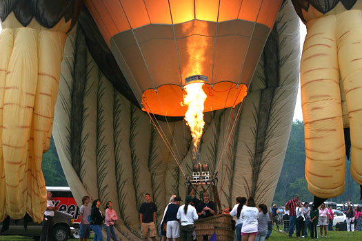 New Jersey Balloon Festival