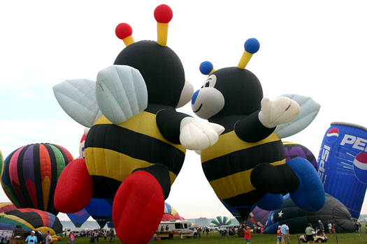 New Jersey Balloon Festival