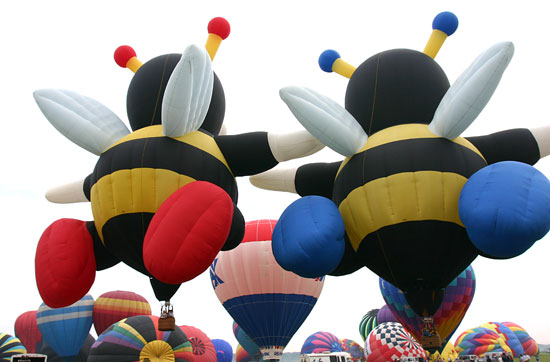 New Jersey Balloon Festival