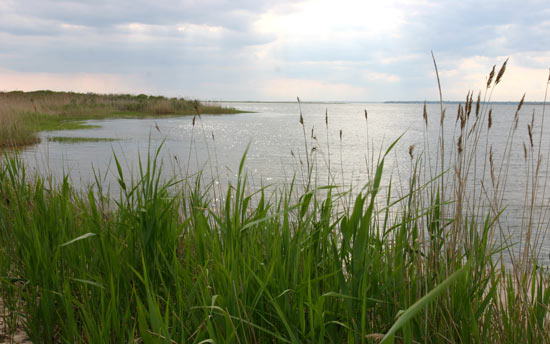 Fire Island National Seashore