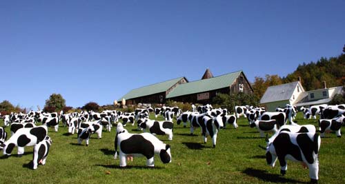 Vermont Farm