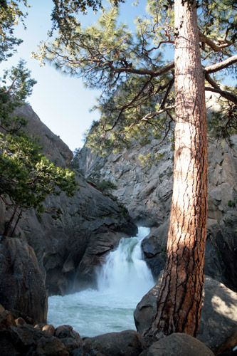 Sequoia snd Kings Canyon National Park 
Kings Canyon