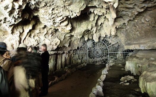 Sequoia and Kings Canyon National Park 
Crystal Cave