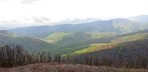 Shenandoah National Park Skyline Drive