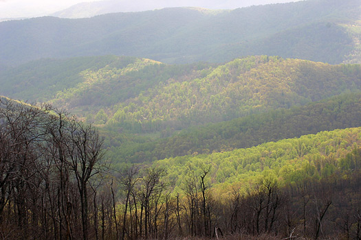 Shenandoah National Park Skyline Drive