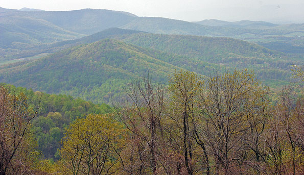 Shenandoah National Park Skyline Drive