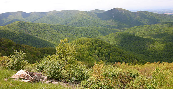 Shenandoah National Park Skyline Drive