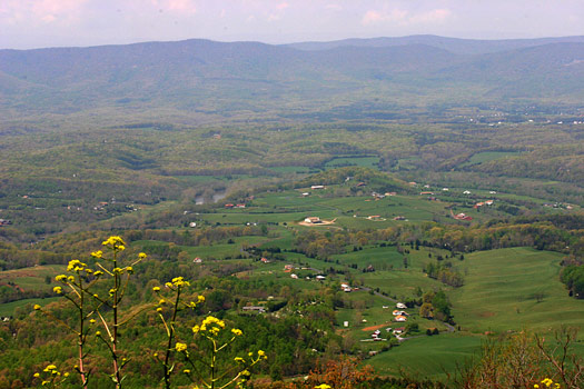 Shenandoah National Park Skyline Drive