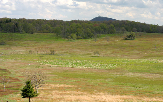 Shenandoah National Park Big Meadows