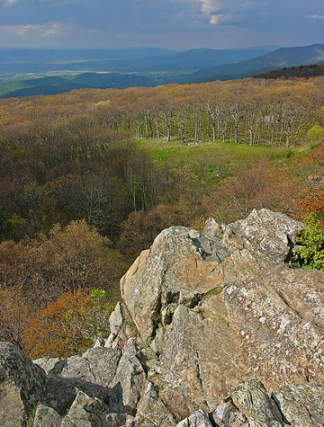 Shenandoah National Park Black Rock