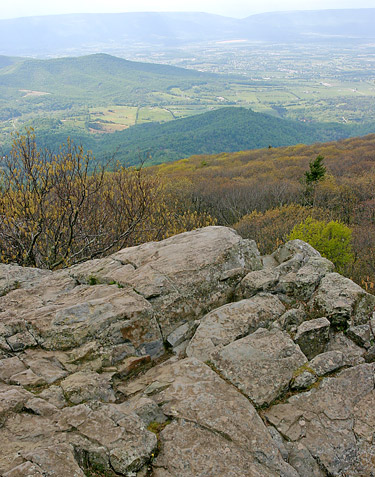 Shenandoah National Park Black Rock