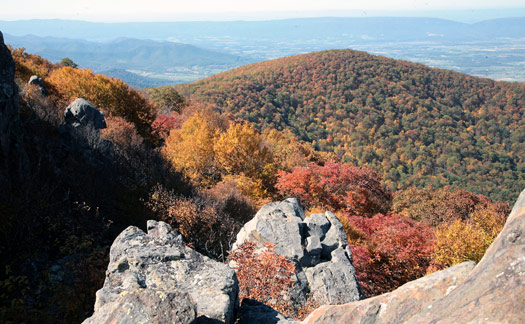 Hawksbill Summit