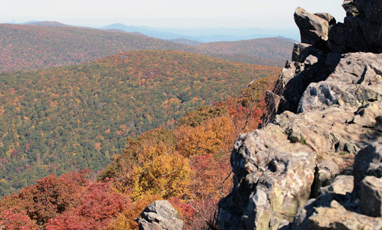 Hawksbill Summit