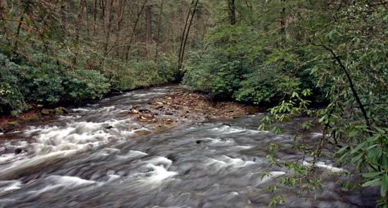 Great Smoky Mountains National Park Cataloochee