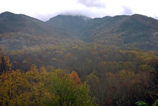 Great Smoky Mountains National Park Newfound Gap Road