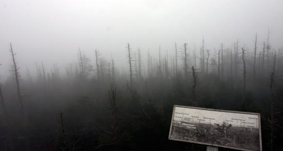 Great Smoky Mountains National Park Clingmans Dome