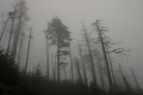 Great Smoky Mountains National Park Clingmans Dome