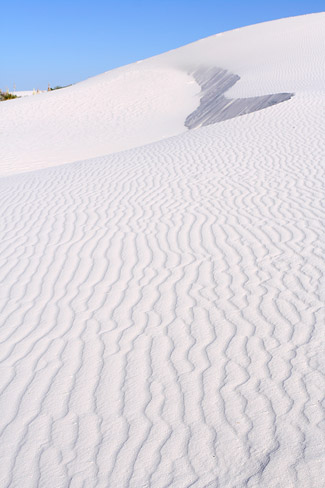 Dune Life Nature Trail