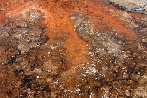 Geyser Basin