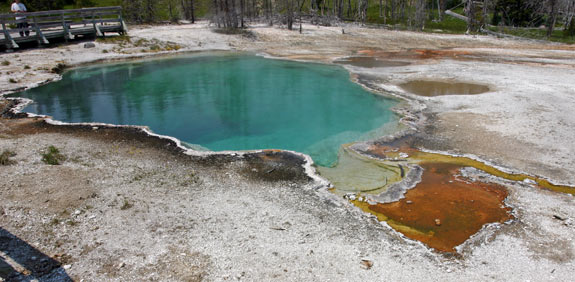 Geyser Basin