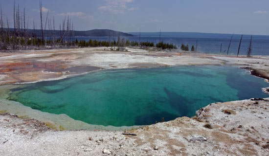 Geyser Basin