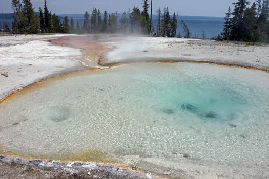 Geyser Basin