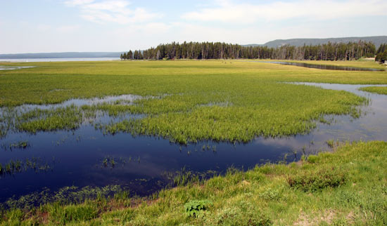 Yellowstone Lake