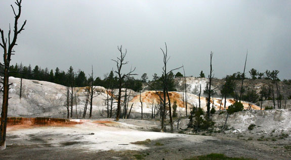 Mammoth Hot Spring