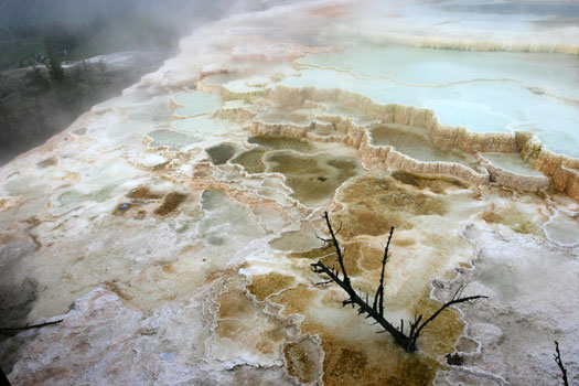 Mammoth Hot Spring